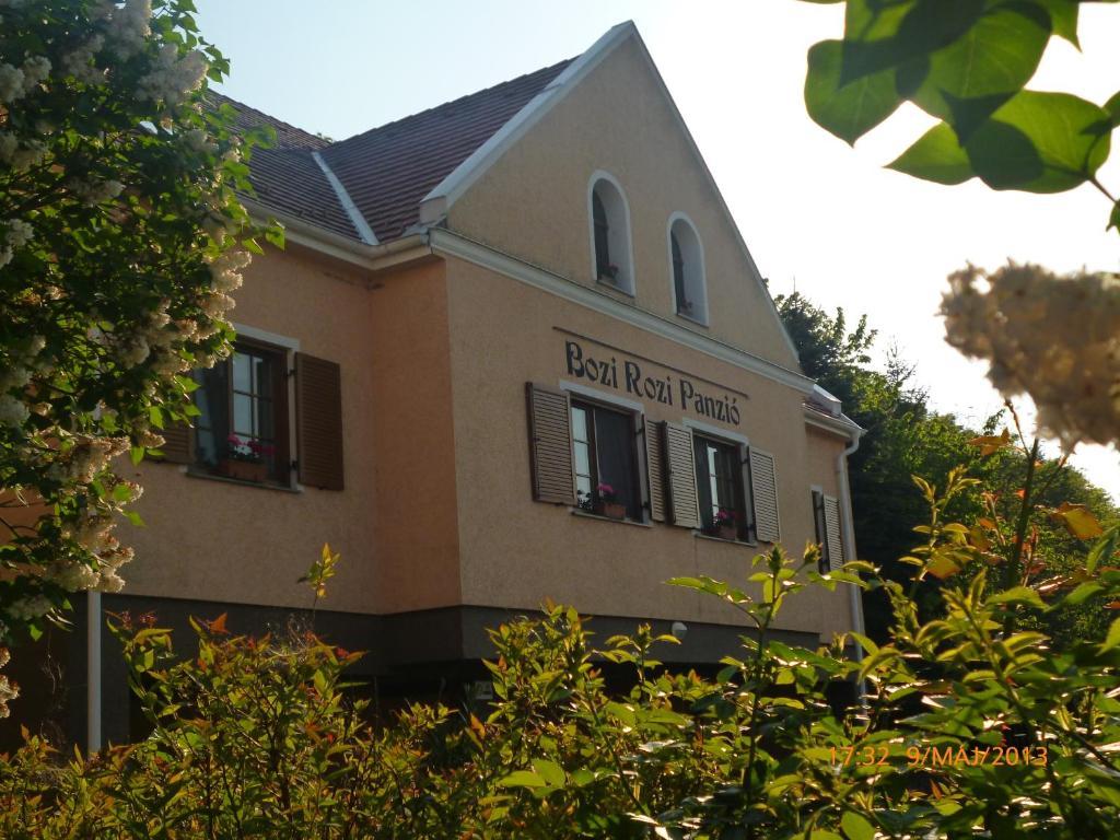 Bozi Rozi Panzio Hotel Fertoboz Exterior photo